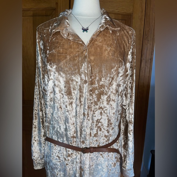 Gold Dress with Belt - Picture 4 of 7